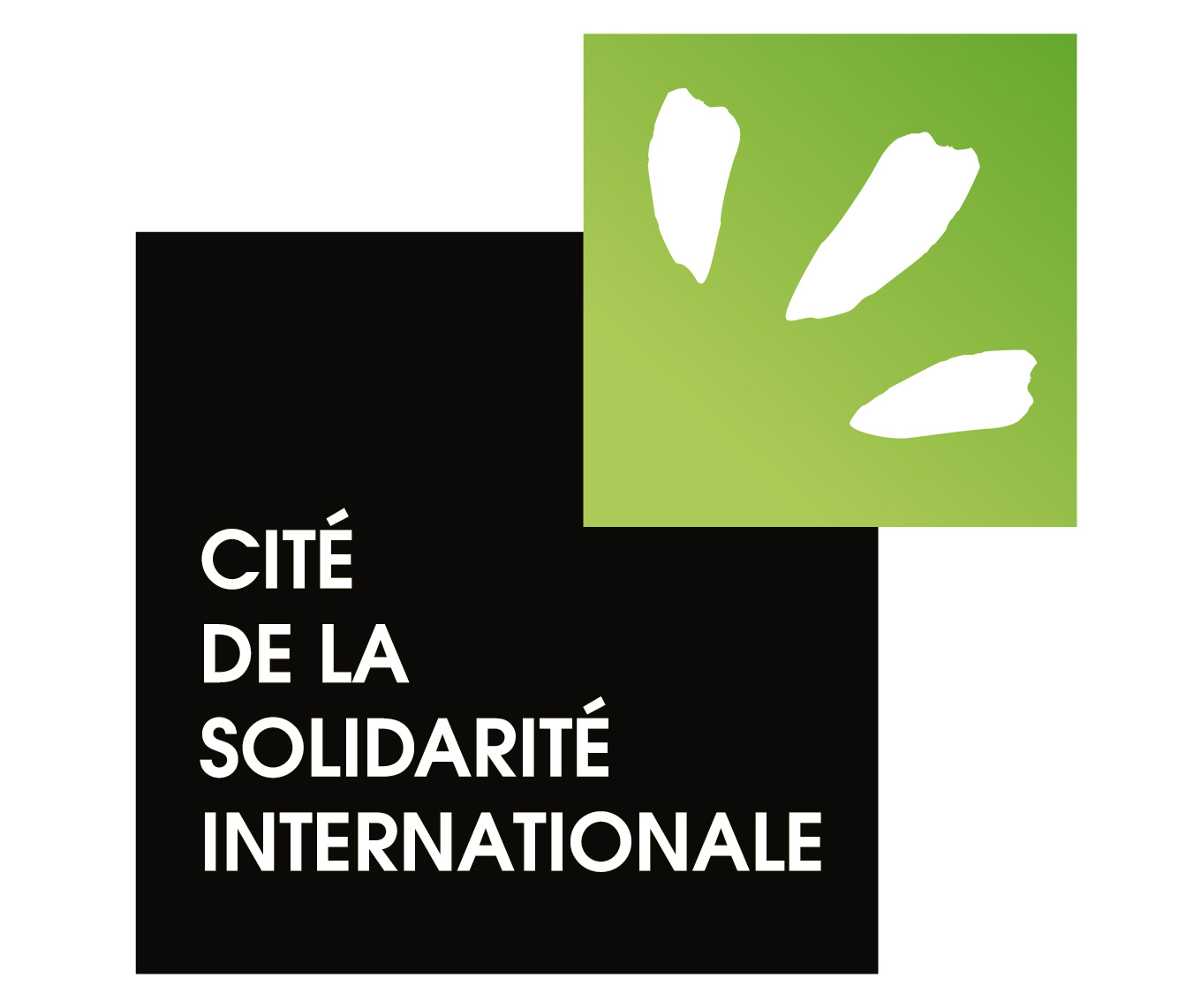 Logo officiel CSI